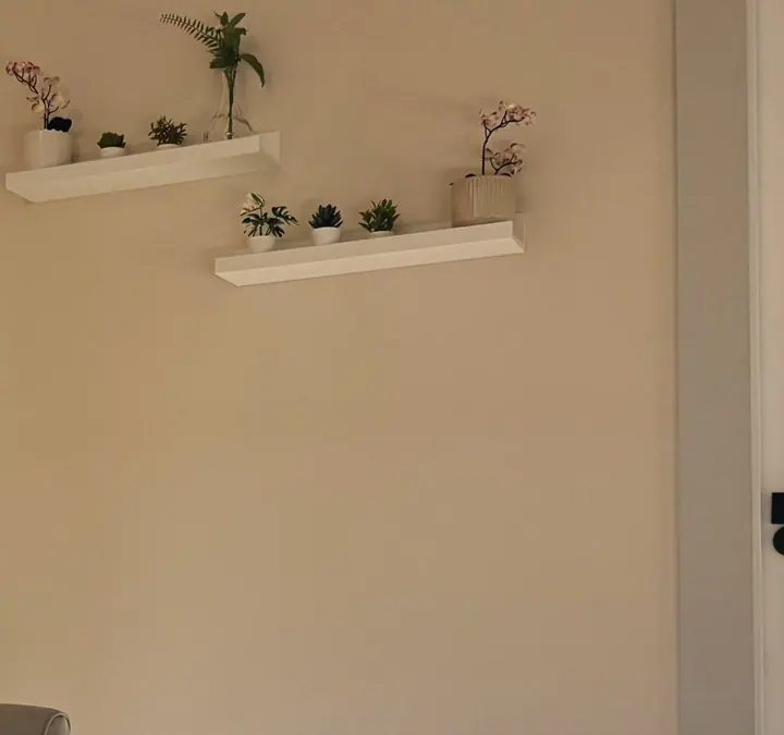 An empty stretch of cream plaster wall in the clinic.